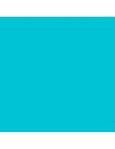 Vinilo Líquido Azul... 2