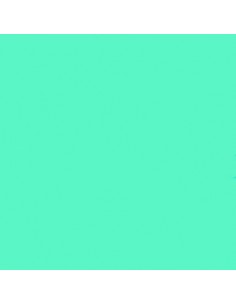 Vinilo Líquido Verde... 2