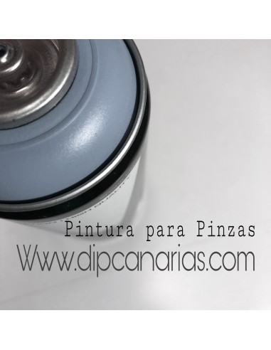 Pintura para Pinzas de Freno Gris Galena