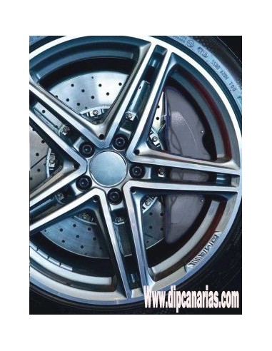 Pintura para Pinzas de Freno Gris Galena