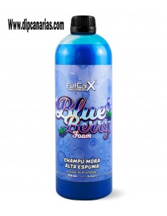 Champú Blueberry 750 ml.