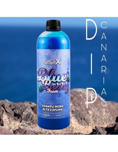 Champú Blueberry 750 ml.