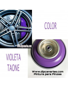 Pintura para Pinzas de...