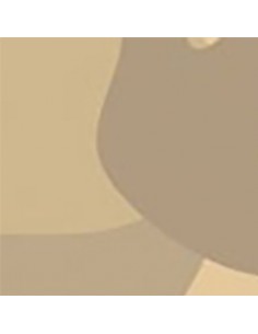 Vinilo Líquido Beige... 2