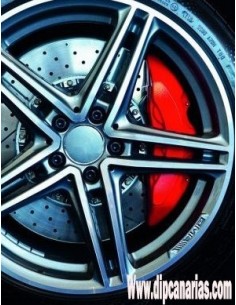 Pintura Anticalórica Rojo... 2