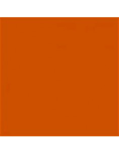 Kit Coche Micro Naranja Sólido 2