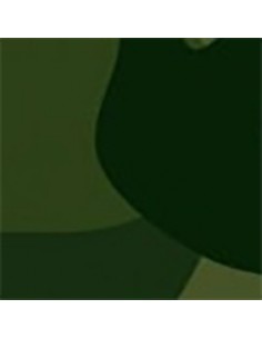 Kit Coche Micro Verde... 2