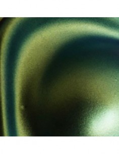 Kit Coche Pequeño Ice Camaleón 2