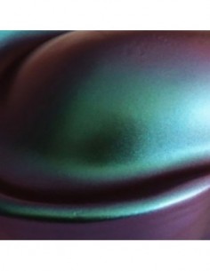 Kit Coche Mediano Absolute... 2