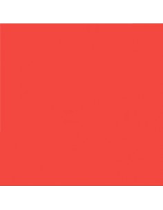 Kit Moto Grande Rojo Flúor 2