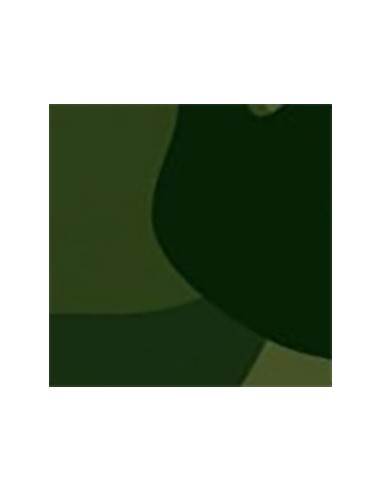 Kit moto pequeña Verde Militar Sólido