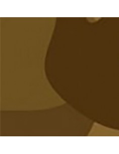 Kit mediana Marrón Militar 2