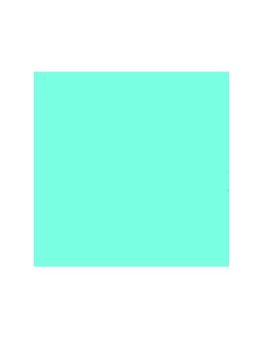 Kit moto mediana Verde Paraíso Sólido