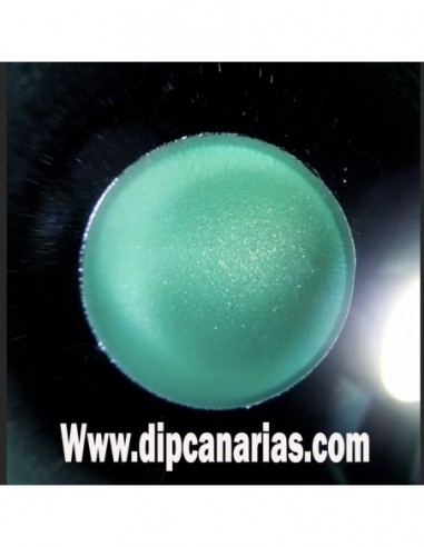 Kit llantas de 16 a 19" Verde Paraíso...