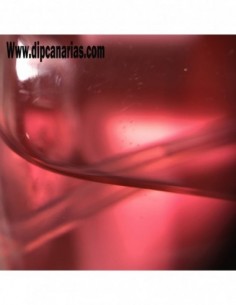 Ambientador Fresa 100 ml. 2