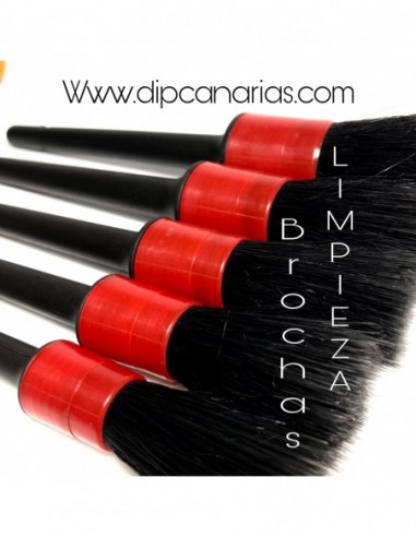 KIT 5 Pinceles Detail