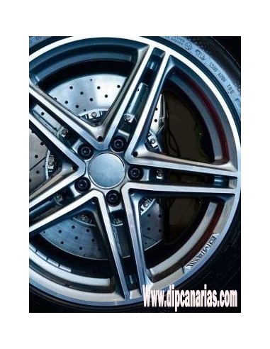 Pintura para Pinzas de Freno Negro