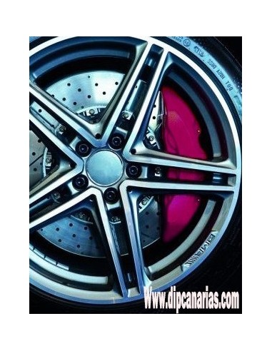 Pintura para Pinzas de Freno Rojo Gore