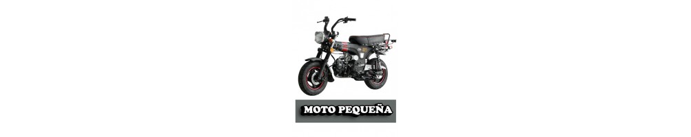 Moto Pequeña